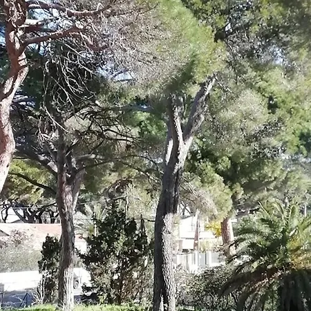 A Hyeres, Proche Et Port, Parking Et Wifi Inclus - Fr-1-335-200 Apartment *